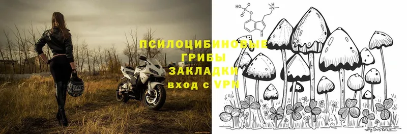 где купить наркоту  Калач-на-Дону  Псилоцибиновые грибы MAGIC MUSHROOMS 